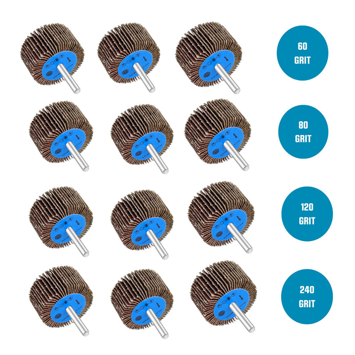 Kit de 12 roues abrasives à lamelles pour perceuse, montées sur tige de 1/4 de pouce